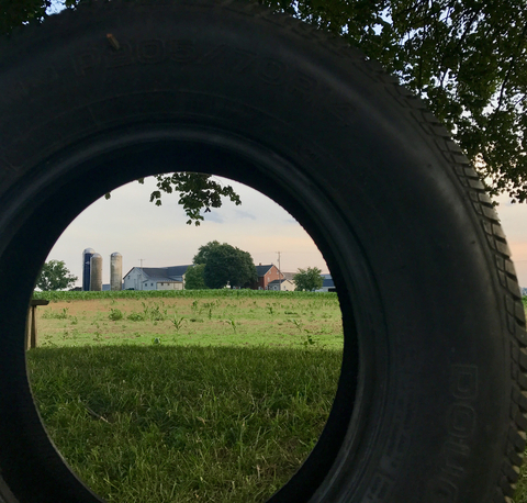 Tire Swing
